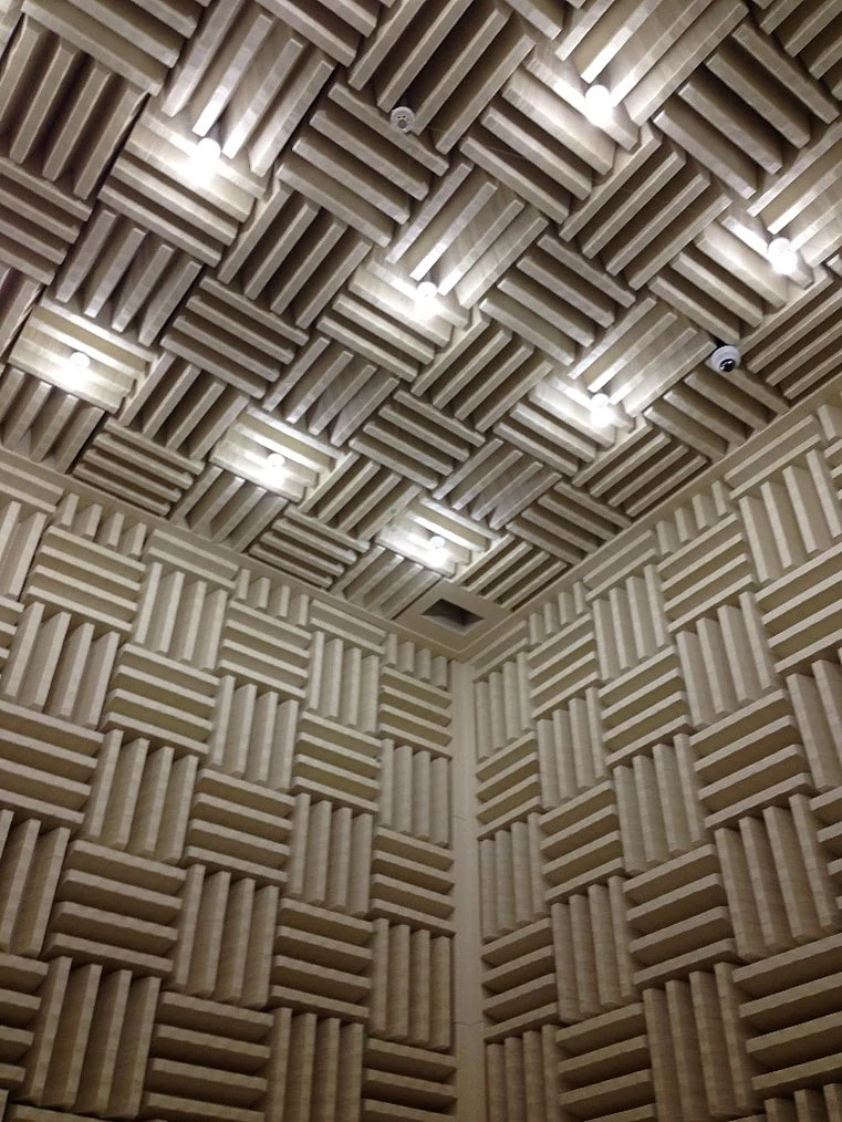 Interior of a Hemi Anechoic Assembly Type Chamber Interior of a Hemi Anechoic Assembly Type Chamber