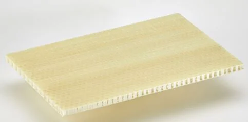 Plastic Honeycomb Panel Plastic Honeycomb Panel